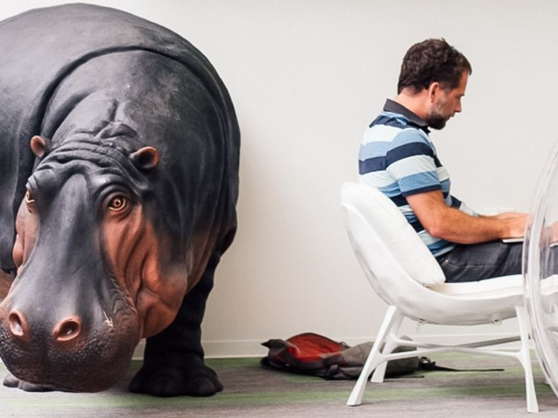 What Unicorn Status Truly Implies For Hippo Insurance policies