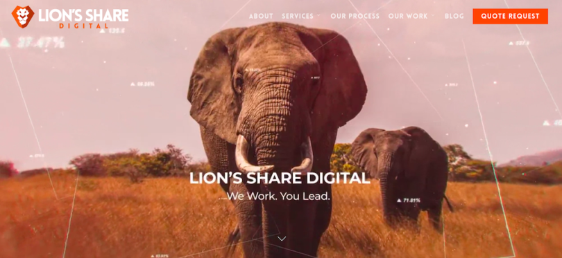 Lion's Share Digital web design Austin